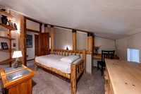 Chokeberry3821_JGPhoto-8
