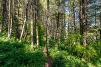 Lot40SnowKing_JGPhoto-4