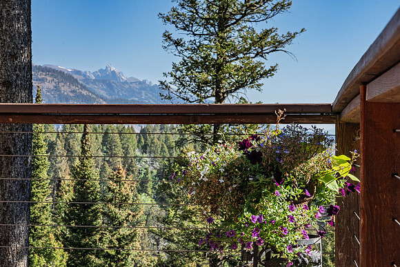 6785LupineTrail_JGPhoto-20