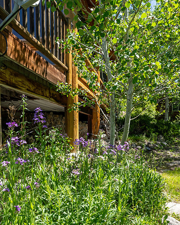 25005DeerCt_JGPhoto-38