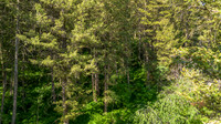 Lot40SnowKing_JGPhoto-17