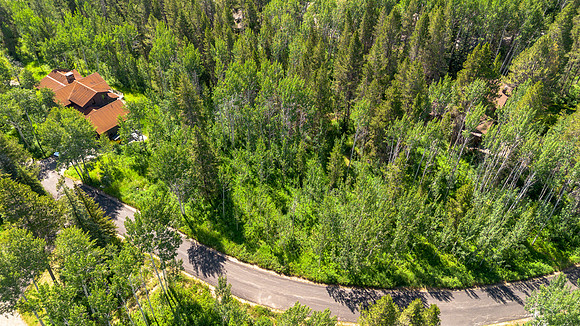 Lot9Woodchuck_JGPhoto-24