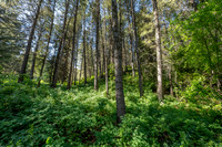 Lot40SnowKing_JGPhoto-5