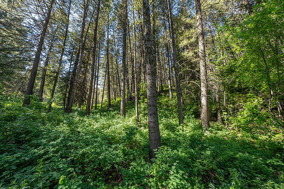 Lot40SnowKing_JGPhoto-5