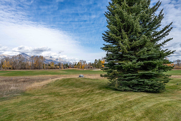 5855Larkspur_JGPhoto-37