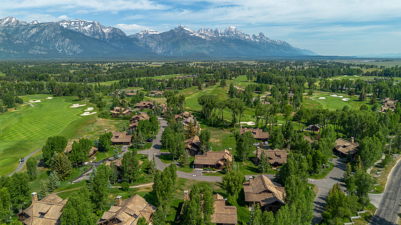 5862ConeflowerDrone_JGPhoto-19