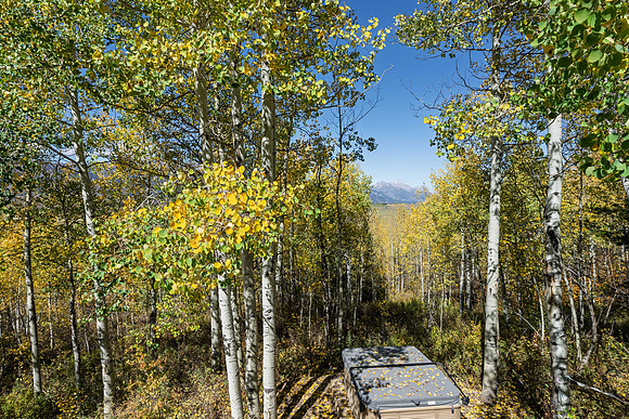 855NBarY_JGPhoto-43