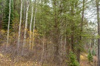 ShadowDancer24_JGPhoto-10