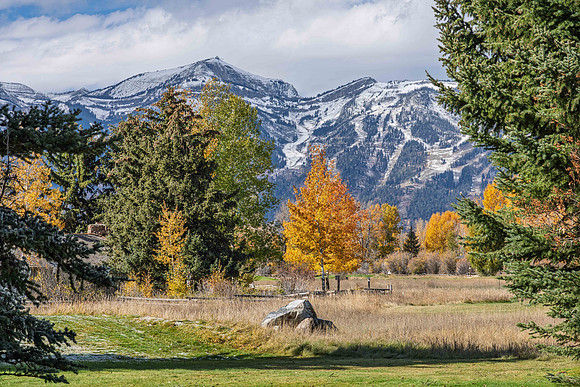 5855LarspurDrive_JGPhoto-9