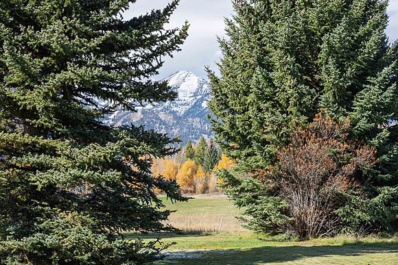 5855LarspurDrive_JGPhoto-25