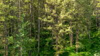 Lot40SnowKing_JGPhoto-16