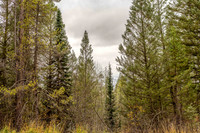 ShadowDancer24_JGPhoto-16