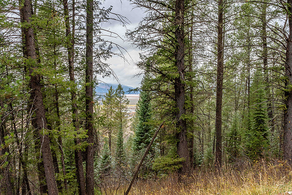 ShadowDancer24_JGPhoto-19