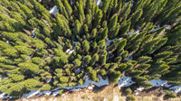 6600PaintbrushDrone_JGPhoto-6