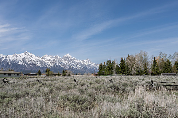7505Roberta_JGPhoto-49