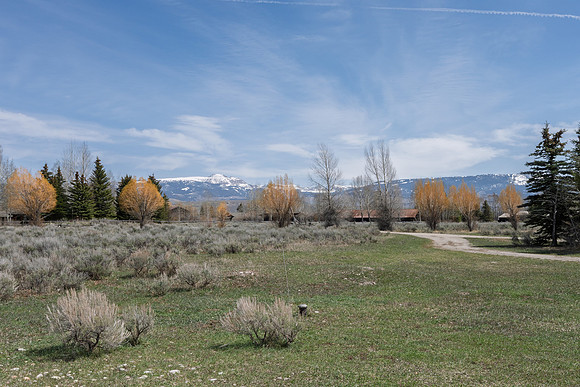 7505Roberta_JGPhoto-52