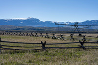 600Ponderosa_JGPhoto-5