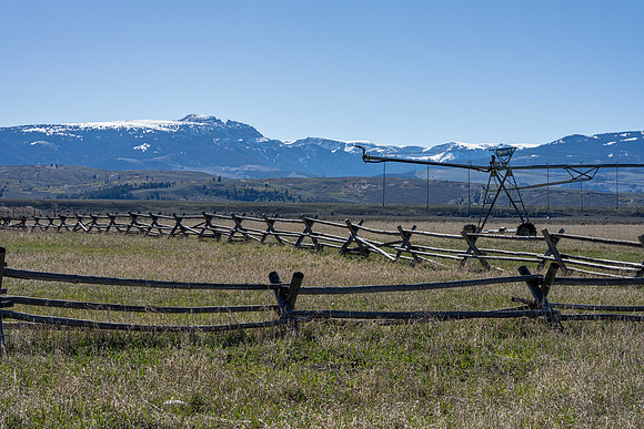 600Ponderosa_JGPhoto-5