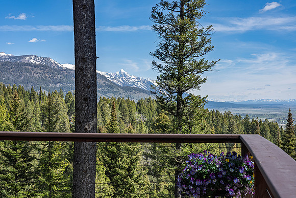 6785Lupine_JGPhoto-36