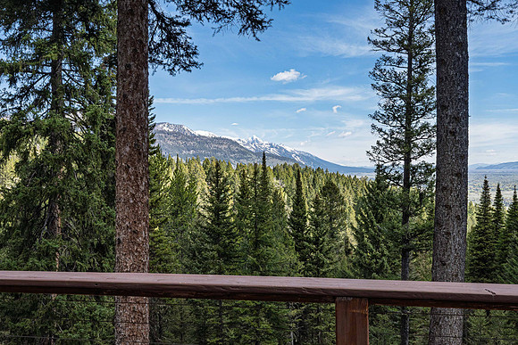 MLS_6785Lupine_JGPhoto-33