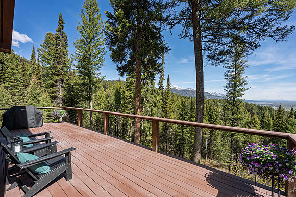 MLS_6785Lupine_JGPhoto-34