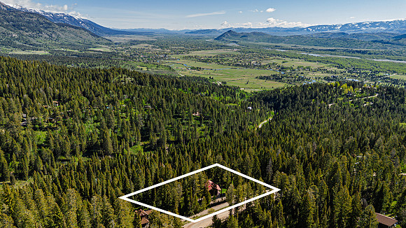 Drone_Lupine_JGPhoto-2 copy