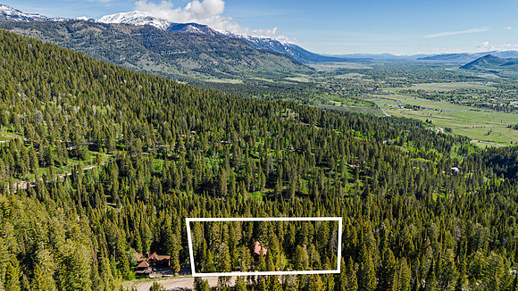 Drone_Lupine_JGPhoto-3 copy