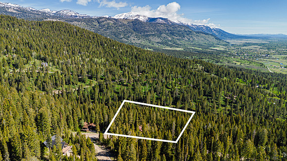 Drone_Lupine_JGPhoto-4 copy