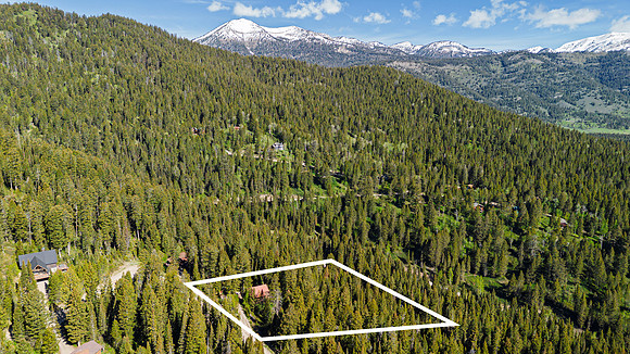 Drone_Lupine_JGPhoto-5 copy