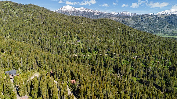 Drone_Lupine_JGPhoto-5