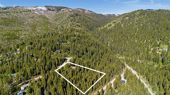 Drone_Lupine_JGPhoto-7 copy