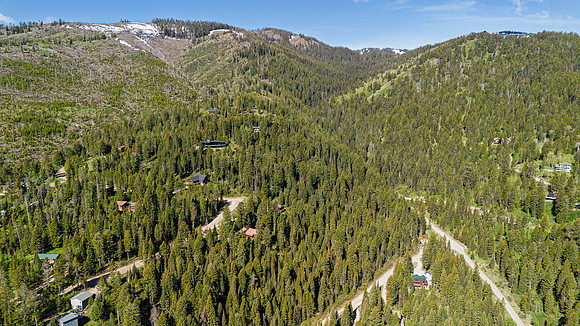 Drone_Lupine_JGPhoto-7