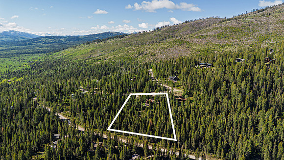 Drone_Lupine_JGPhoto-9 copy
