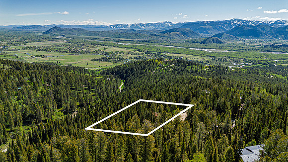 Drone_Lupine_JGPhoto-13 copy