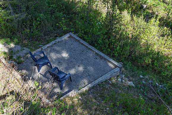 Lupine_JGPhoto-10