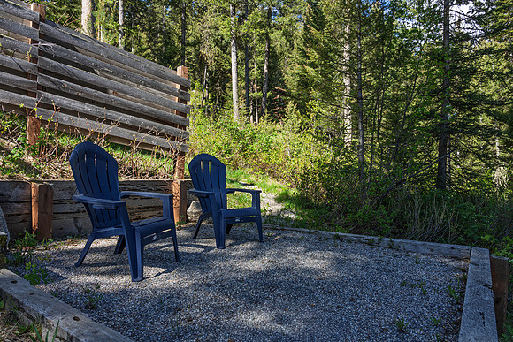 Lupine_JGPhoto-19