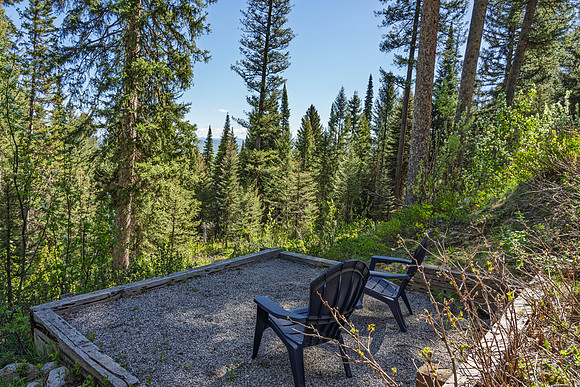 Lupine_JGPhoto-21