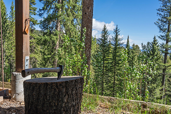 Lupine_JGPhoto-23