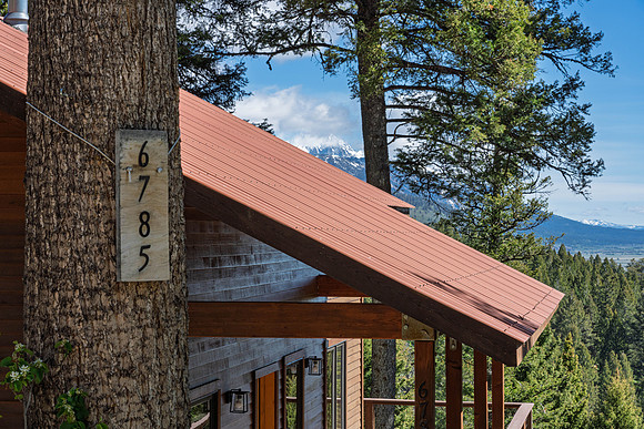 Lupine_JGPhoto-27