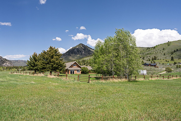 Snowberry_JGPhoto-34