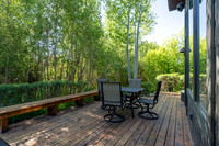 3230KingEider_JGPhoto-7
