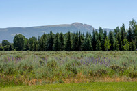 450Phelps_JGPhoto-13