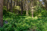 Lot40SnowKing_JGPhoto-11