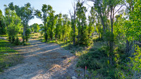 Lot5&6_JGPhoto-4