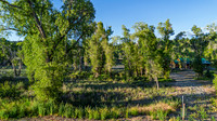 Lot 5-6 Kelly
