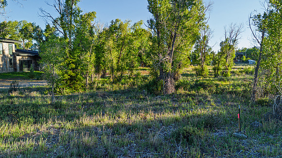 Lot5&6_JGPhoto-5