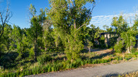 Lot5&6_JGPhoto-3