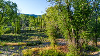 Lot5&6_JGPhoto-2