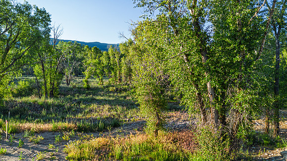 Lot5&6_JGPhoto-2
