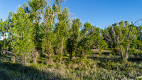 Lot5&6_JGPhoto-6